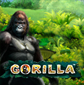 Gorilla - игровой автомат Горилла про джунгли от Novomatic 